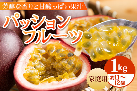 【2026年・先行予約】【訳あり品】家庭用パッションフルーツ1kg (約11~12個 )濱田農園 |先行予約 産地直送 新鮮 パッション フルーツ 南大隅町 果物 果実 プレゼント濱田農園 家庭用 人気 南国フルーツ HB-707