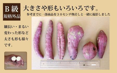 訳あり さつまいも 紅はるか 堀りたて5kg ( 1箱 ) 新物 鹿児島県産 2024年12月末までに出荷 【訳あり さつまいも 紅はるか 堀りたて 新物 鹿児島県産 5kg ( 1箱 ) 先行予約 野菜 やさい 食品 人気 おすすめ 送料無料 AX72207 南大隅町】