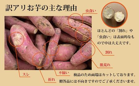 訳あり さつまいも 紅はるか 堀りたて5kg ( 1箱 ) 新物 鹿児島県産 2024年12月末までに出荷 【訳あり さつまいも 紅はるか 堀りたて 新物 鹿児島県産 5kg ( 1箱 ) 先行予約 野菜 やさい 食品 人気 おすすめ 送料無料 AX72207 南大隅町】