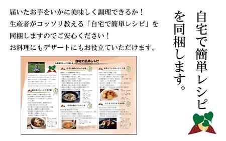 訳あり さつまいも 紅はるか 堀りたて5kg ( 1箱 ) 新物 鹿児島県産 2024年12月末までに出荷 【訳あり さつまいも 紅はるか 堀りたて 新物 鹿児島県産 5kg ( 1箱 ) 先行予約 野菜 やさい 食品 人気 おすすめ 送料無料 AX72207 南大隅町】