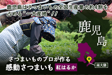 【鹿児島県産】 熟成 紅はるか 3kg (1箱 ) Sサイズ さつまいも【2025年11月下旬より順次発送】FR-211