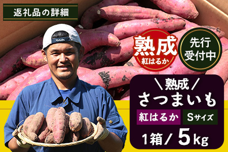 【先行予約・2025年11月下旬より順次発送】鹿児島県産さつまいも・熟成紅はるか5kg(1箱)Sサイズ｜ さつまいも べにはるか先行予約 野菜 やさい 食品 人気 おすすめ 送料無料 南大隅町（AX72212）