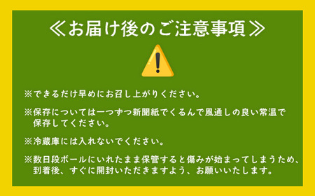 【鹿児島県産】熟成 紅はるか 5kg (1箱 ) Mサイズ さつまいも【2025年11月下旬より順次発送】FR-214