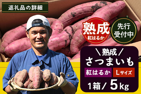 【先行予約】鹿児島県産さつまいも・熟成紅はるか5kg(1箱)Lサイズ｜ さつまいも べにはるか先行予約 野菜 やさい 食品 人気 おすすめ 送料無料 南大隅町（AX72216）