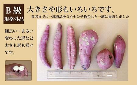 3月末までに出荷 訳あり 熟成 紅はるか 5kg ( 1箱 ) さつまいも 鹿児島