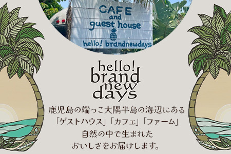 絶品！南大隅町産パッションフルーツ【リリコイバター】約160g×2瓶 HB-704 ｜リリコイ バター バタージャム 国産 ばたー パッションフルーツ ジャム じゃむ 南大隅町 スプレッド