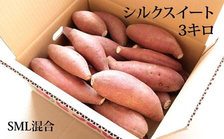 熟成 シルクスイート 3kg ( 1箱 ) サイズ混合 2月末までに出荷