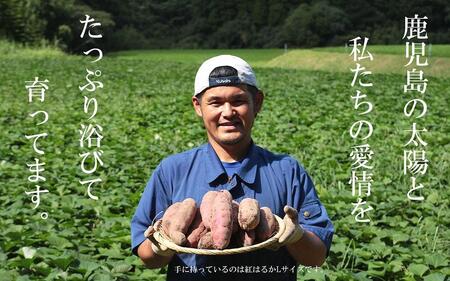 鹿児島県産】熟成 シルクスイート 5kg (1箱 ) サイズ混合 さつまいも | さつまいも 鹿児島県産 シルクスイート 蜜芋 さつまいも  シルクスイート | 鹿児島県南大隅町 | ふるさと納税サイト「ふるなび」