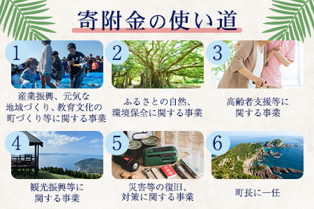 【返礼品なし】南大隅町への寄附　1口10,000円