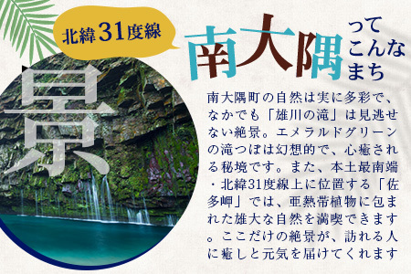 【返礼品なし】南大隅町への寄附　1口100,000円