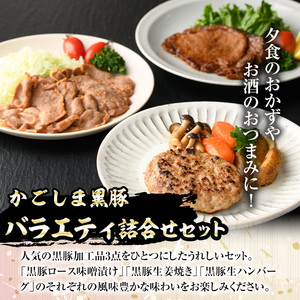 【A03006】南州農場黒豚バラエティ詰合せB 鹿児島 国産 九州産 黒豚 豚肉 お肉 ハンバーグ 生姜焼き ロース 味噌漬け みそ おかず 肉加工品 贈答 ギフト【南州農場(株)高山ミートセンター】