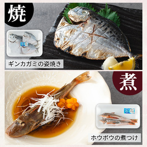 【A78002】漁師厳選！ロコフィッシュ(地魚) 冷凍加工品7種セット 地魚 魚 お魚 冷凍 加工品 未利用魚 低利用魚 届くまでのお楽しみ 【昌徳丸】