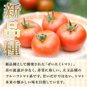 【P74002】ぜいたくトマト(約1.8kg) フルーツトマト 完熟 こだわり とまと トマト 大玉品種 夏野菜 野菜 産地直送【兼氏農園】