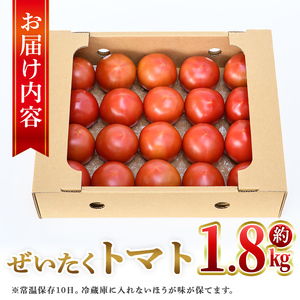 【P74002】ぜいたくトマト(約1.8kg) フルーツトマト 完熟 こだわり とまと トマト 大玉品種 夏野菜 野菜 産地直送【兼氏農園】