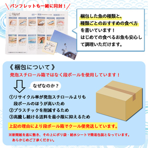 【A78004】漁師厳選！ロコフィッシュ(地魚) 下処理済 鮮魚 ボックス(約4～5kg)地魚 魚 お魚 冷蔵 生もの 加工品 未利用魚 低利用魚 焼き魚 焼魚 刺し身 刺身 煮魚 届くまでのお楽しみ【昌徳丸】