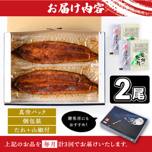 【E57003】<定期便・計3回(連続)>うなぎ蒲焼・大(有頭)(2尾・計330g以上×3回、タレ、山椒付)鹿児島 国産 鰻 うなぎ ウナギ 蒲焼き うな丼 うな重 ひつまぶし 土用の丑の日 真空パック お土産 贈答 ギフト プレゼント【一般社団法人きもつき宇宙協議会】