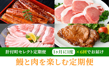【E57006】<定期便・全6回>肝付町鰻と肉を楽しむ定期便 鹿児島 豚肉 黒豚 しゃぶしゃぶ セット ロース バラ スライス 鰻 うなぎ セレクト【一般社団法人きもつき宇宙協議会】