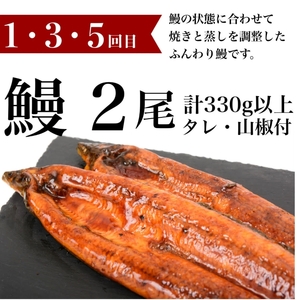 【E57006】<定期便・全6回>肝付町鰻と肉を楽しむ定期便 鹿児島 豚肉 黒豚 しゃぶしゃぶ セット ロース バラ スライス 鰻 うなぎ セレクト【一般社団法人きもつき宇宙協議会】
