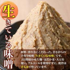 【A73001】＜定期便・全3回(隔月)＞手作りいろは味噌(計6kg・2kg×3回) 鹿児島 国産 味噌 みそ 田舎みそ 田舎味噌 手作り味噌 調味料 はだか麦 定期 隔月【いろは味噌】