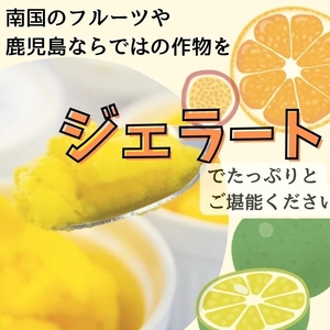 【A83003】＜先行予約受付中！2026年4月以降順次発送予定＞南のくだもの王国 かごしま フルーツジェラート 食べ比べ セット (8種 8個入り) 国産 アイス スイーツ デザート お菓子 冷凍 ギフト 甘夏 大将季 【農地所有適格法人株式会社P＆Y'sLabo】