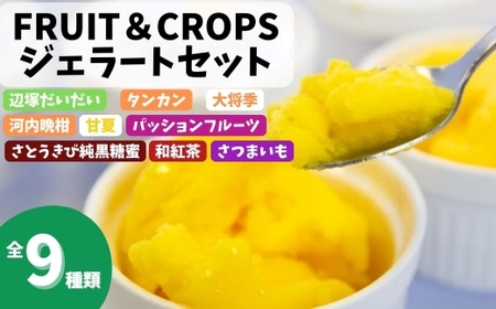 【A83004】＜先行予約受付中！2026年4月以降順次発送予定＞南のくだもの王国 南のFRUIT＆CROPS ジェラート セット (9種 9個入り) ジェラート アイスクリーム アイス スイーツ フルーツ おやつ デザート お菓子 冷凍 冷凍食品 ギフト 甘夏 タンカン 柑橘 大将季 【農地所有適格法人株式会社P＆Y'sLabo】