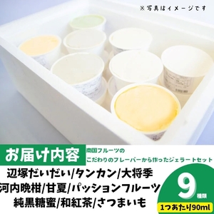【A83004】＜先行予約受付中！2026年4月以降順次発送予定＞南のくだもの王国 南のFRUIT＆CROPS ジェラート セット (9種 9個入り) ジェラート アイスクリーム アイス スイーツ フルーツ おやつ デザート お菓子 冷凍 冷凍食品 ギフト 甘夏 タンカン 柑橘 大将季 【農地所有適格法人株式会社P＆Y'sLabo】