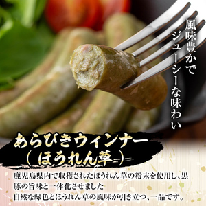 【A03009】南州農場 黒豚生ハム・ソーセージ詰合せ＜あらびきウィンナー(ほうれん草 100g×2 / ジンジャー 100g×2)・コッパ40g×1＞ 鹿児島 国産 九州産 豚肉 黒豚 南州黒豚 ウィンナー ソーセージ ほうれん草 生姜 生ハム セット 贈答 ギフト 冷凍 【南州農場(株)高山ミートセンター】