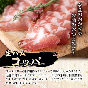 【A03009】南州農場 黒豚生ハム・ソーセージ詰合せ＜あらびきウィンナー(ほうれん草 100g×2 / ジンジャー 100g×2)・コッパ40g×1＞ 鹿児島 国産 九州産 豚肉 黒豚 南州黒豚 ウィンナー ソーセージ ほうれん草 生姜 生ハム セット 贈答 ギフト 冷凍 【南州農場(株)高山ミートセンター】