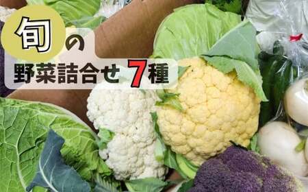 【P87001】《数量限定》採れたて野菜詰合せ(7種) 鹿児島 国産 野菜 旬 新鮮 産地直送 何が届くかお楽しみ ランダム 【農事組合法人 福田農園】