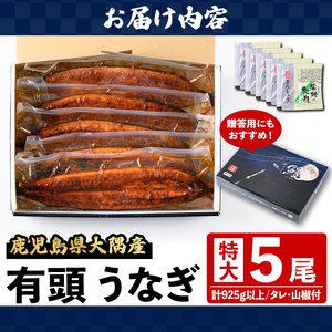 【C57004】土用の丑の日 特大うなぎ 蒲焼 有頭 (5尾 計925g以上 タレ・山椒付) 国産 大隅産 鰻 蒲焼き【一般社団法人きもつき宇宙協議会】