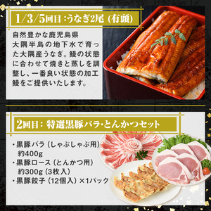 【F90003】＜定期便・全6回＞肝付町セレクト定期便《鰻と豚肉を楽しむ定期便》 鹿児島 豚肉 鹿児島県産 黒豚 鰻 うなぎ ウナギ とんかつ しゃぶしゃぶ ハム ウィンナー 定期便 セレクト 冷凍 冷凍食品 【株式会社きもつき未来商社そらまち】