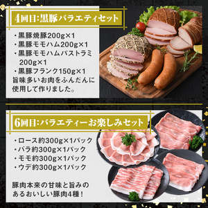 【F90003】＜定期便・全6回＞肝付町セレクト定期便《鰻と豚肉を楽しむ定期便》 鹿児島 豚肉 鹿児島県産 黒豚 鰻 うなぎ ウナギ とんかつ しゃぶしゃぶ ハム ウィンナー 定期便 セレクト 冷凍 冷凍食品 【株式会社きもつき未来商社そらまち】