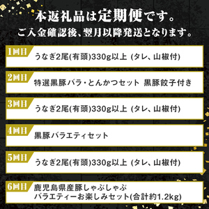 【F90003】＜定期便・全6回＞肝付町セレクト定期便《鰻と豚肉を楽しむ定期便》 鹿児島 豚肉 鹿児島県産 黒豚 鰻 うなぎ ウナギ とんかつ しゃぶしゃぶ ハム ウィンナー 定期便 セレクト 冷凍 冷凍食品 【株式会社きもつき未来商社そらまち】