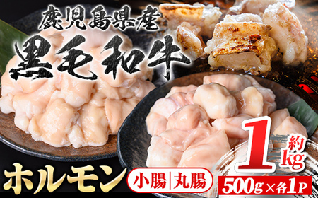 【A01038】鹿児島県産黒毛和牛 ホルモン 小腸 丸腸 セット (計約1kg・約500g×各1P) 鹿児島 国産 九州産 黒毛和牛 牛肉 ホルモン 牛ホルモン 生ホルモン モツ マルチョウ ホルモンセット 食べ比べ 真空パック 個包装 小分け 冷凍 焼肉 もつ鍋 煮込み【新村畜産】