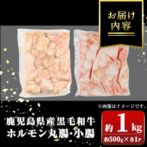 【A01038】鹿児島県産黒毛和牛 ホルモン 小腸 丸腸 セット (計約1kg・約500g×各1P) 鹿児島 国産 九州産 黒毛和牛 牛肉 ホルモン 牛ホルモン 生ホルモン モツ マルチョウ ホルモンセット 食べ比べ 真空パック 個包装 小分け 冷凍 焼肉 もつ鍋 煮込み【新村畜産】