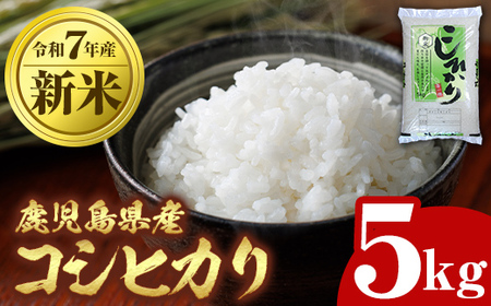 【A95001】令和7年産 新米 鹿児島県産 コシヒカリ (5kg) 国産 自家精米 精米 白米 こしひかり 単一米 ごはん ご飯 お米 コメ こめ 【山下商店】