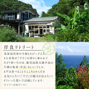 【P60004】ででこしょう＆ででスコ でで青果 セット(ででこしょう30g・ででスコ65ml・でで（辺塚だいだい）約500g) 香辛料 スパイス だいだい 橙 辺塚だいだい お取り寄せ ギフト 贈答【岸良リトリート】