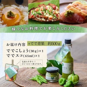 【P60004】ででこしょう＆ででスコ でで青果 セット(ででこしょう30g・ででスコ65ml・でで（辺塚だいだい）約500g) 香辛料 スパイス だいだい 橙 辺塚だいだい お取り寄せ ギフト 贈答【岸良リトリート】