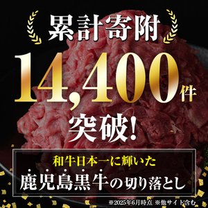 【P01002】鹿児島黒牛 切り落とし 約500g 国産 黒毛和牛 牛肉 すきやき 切落し 【新村畜産】