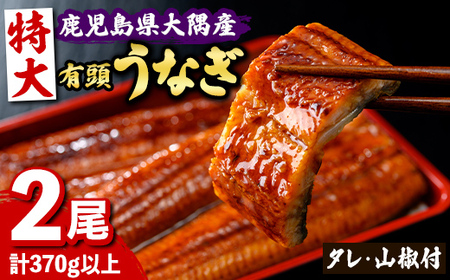 【B57005】特大うなぎ 蒲焼 有頭 (2尾 計370g以上 タレ・山椒付) 鹿児島 国産 大隅産 鰻 蒲焼き【一般社団法人きもつき宇宙協議会】