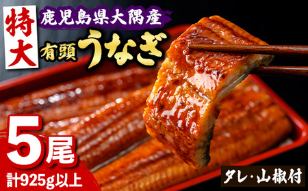 【C57006】特大うなぎ蒲焼(有頭)(5尾・計925g以上、タレ、山椒付) 鹿児島 国産 九州産 大隅産 鰻 うなぎ ウナギ 蒲焼き うな重 うな丼 ひつまぶし 丑の日 土用の丑の日 化粧箱 贈答 【一般社団法人きもつき宇宙協議会】