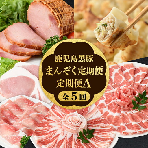【D02006】＜定期便・全5回＞かごしま黒豚まんぞく定期便A (月1回×5ヶ月) 鹿児島 九州産 国産 肉 豚肉 黒豚 焼豚 肩ロース ロース モモ スライス 叉焼 餃子 ギョーザ ぎょうざ しゃぶしゃぶ とんかつ 加工品 セット 【和田養豚】