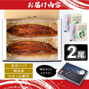 【A57005】土用の丑の日 うなぎ 蒲焼 有頭 (2尾 計370g以上 タレ・山椒付) 鹿児島 国産 大隅産 鰻 蒲焼き【一般社団法人きもつき宇宙協議会】