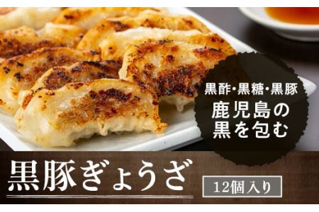 【A02038】黒豚餃子セット(12個入×10パック)