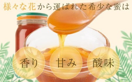 B51001】鹿児島県産日本ミツバチ蜂蜜(約450g×2本・計約900g) 幻とも言われる貴重な生はちみつ！蜂蜜 ハチミツ はちみつ ハニー 蜜 国産  鹿児島 日本ミツバチ 生はちみつ 生蜂蜜 トースト ヨーグルト【芳治養蜂】 | 鹿児島県肝付町 | ふるさと納税サイト「ふるなび」