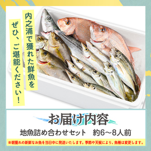 【C09001】地魚詰め合わせセット(約6～8人分) 朝獲れ 鮮魚 地元の魚屋が選別 旬 魚 地魚 さかな 刺身 煮つけ 焼き魚 詰合わせ セット 海産物 国産【マルケイ水産】