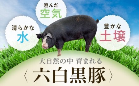 B044 特選黒豚しゃぶしゃぶセット 鹿児島県肝付町 ふるさと納税サイト ふるなび