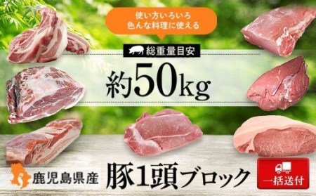 G05031 鹿児島県産豚1頭ブロックセット 最大58%OFFクーポン 6箱一括送付 最大60％オフ