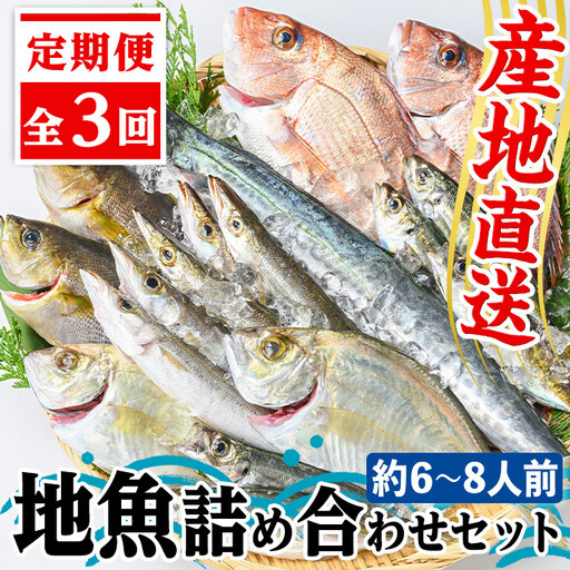 【D09002】【3回定期便】魚屋さんの選んだ新鮮お魚詰め合わせ(約6～8人分) 鹿児島 国産 九州産 産直 産地直送 鮮魚 新鮮 魚 海産物 お刺身 煮つけ 焼き魚【マルケイ水産】