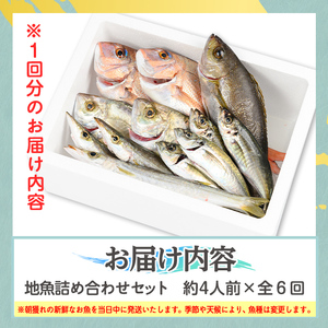 【D09001】【6回定期便】魚屋さんの選んだ新鮮お魚詰め合わせ(約4人分) 鹿児島 国産 九州産 産直 産地直送 鮮魚 新鮮 魚 海産物 お刺身 煮つけ 焼き魚【マルケイ水産】